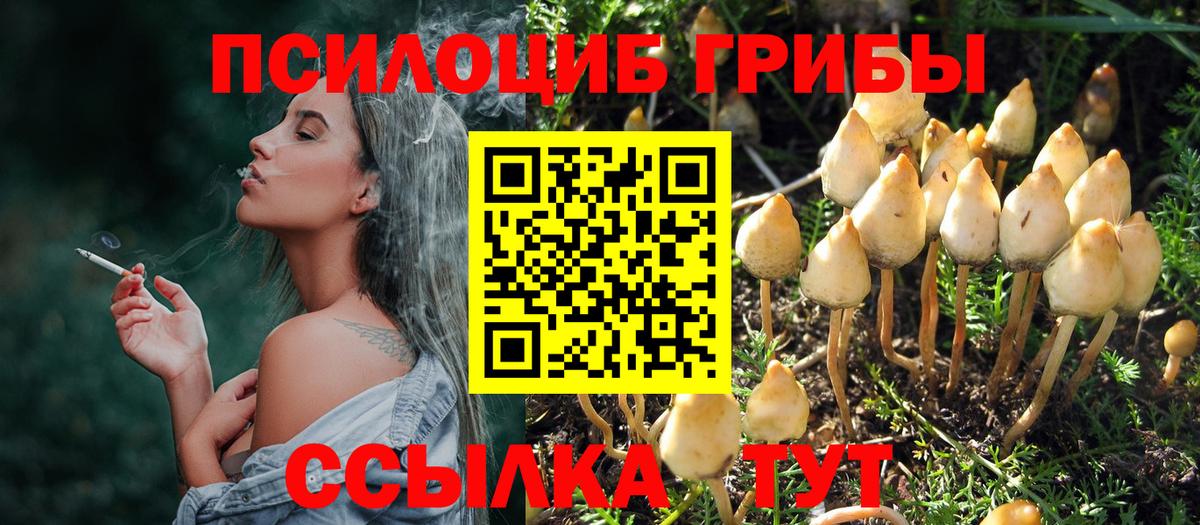 Псилоцибиновые грибы Magic Shrooms Краснокаменск