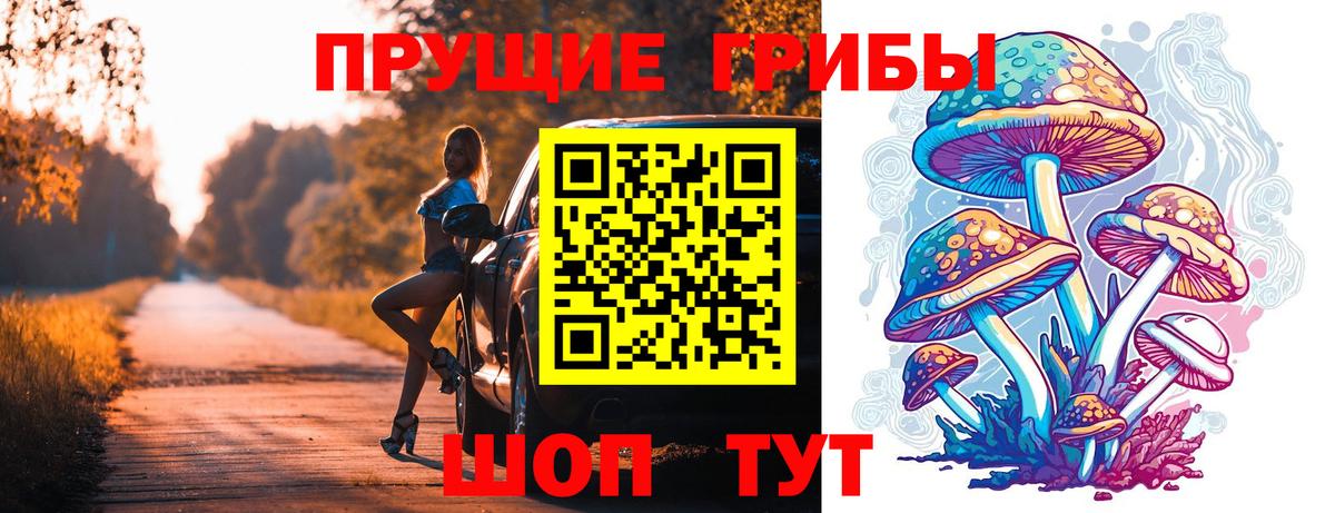 Псилоцибиновые грибы мицелий  Вход с VPN  Краснокаменск  Галлюциногенные грибы GOLDEN TEACHER 